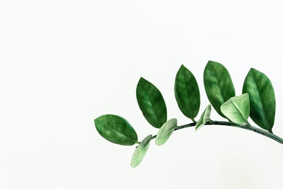 Exploring Elixir processes