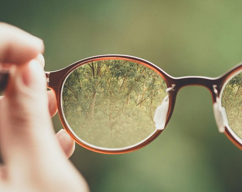 Seeing Through Your Customers' Eyes with Customer Impersonation